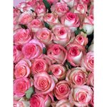 Розово-белый микс из 51 розы в коробке