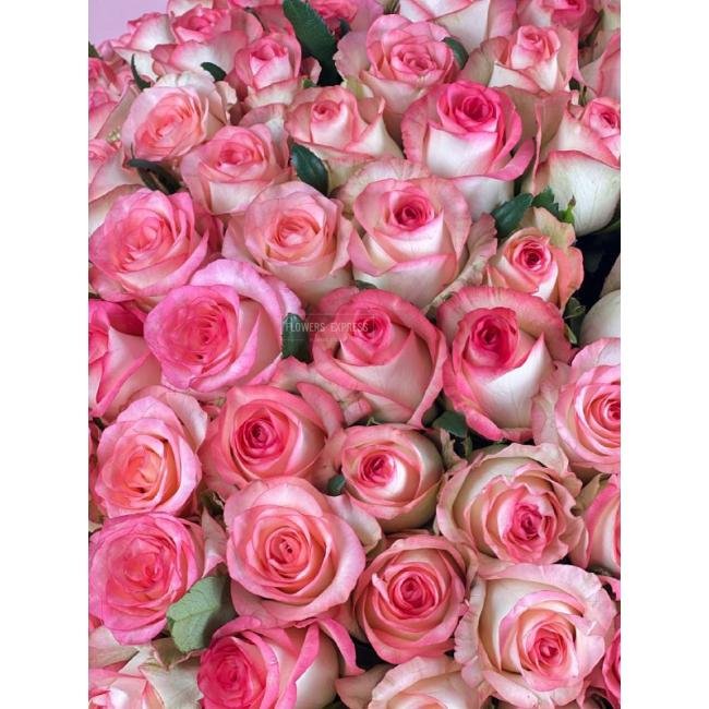 Розово-белый микс из 51 розы в коробке