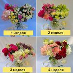 Цветочная подписка XL (4 букета - 4 недели)