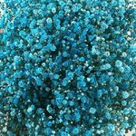 Гипсофила Голубая