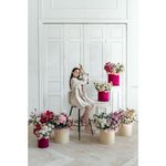 Комната цветов &laquo;Доброе утро&raquo; (7 композиций)