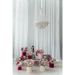 Комната цветов &laquo;Взрыв эмоций&raquo; (9 композиции)