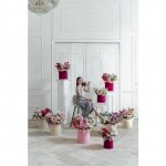 Комната цветов &laquo;Взрыв эмоций&raquo; (9 композиции)