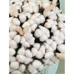 Композиция из сухоцветов &laquo;Белое безмолвие&raquo;