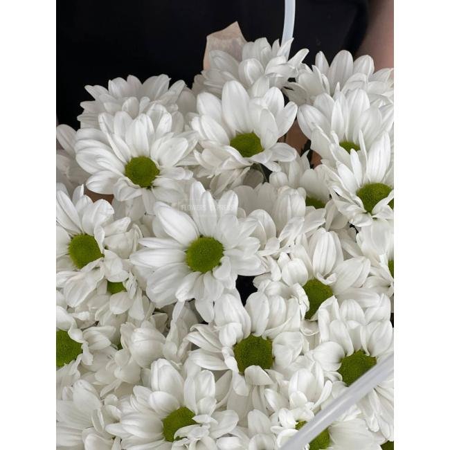 Цветочная сумочка &laquo;Нежный поцелуй&raquo;