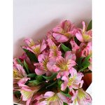 Букет-комплимент из альстромерий