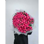 101 Красный пион