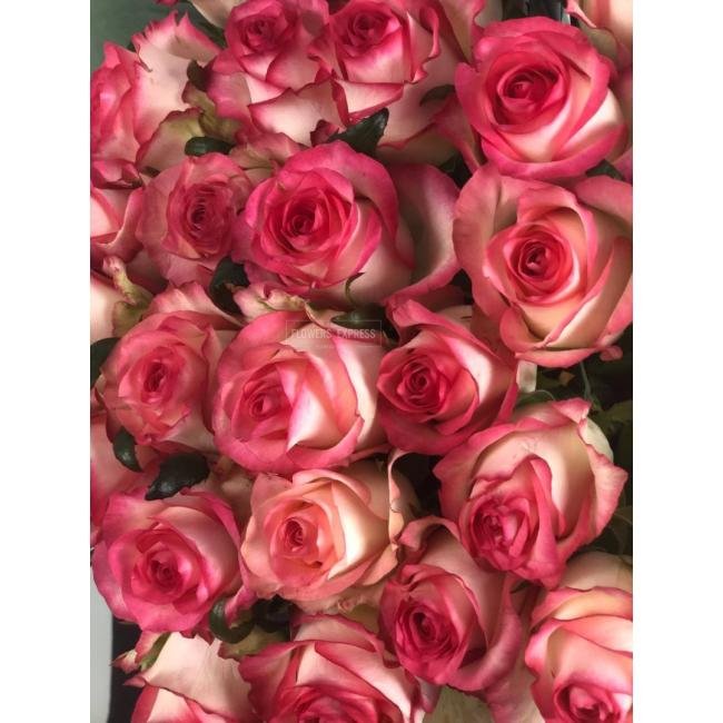 Роза сорта &laquo;Джумилия&raquo; (Jumilia)