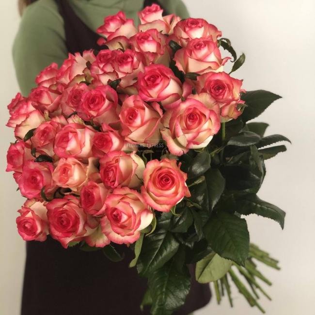 Роза сорта &laquo;Джумилия&raquo; (Jumilia)