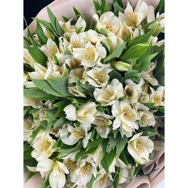 15 Белых альстромерий
