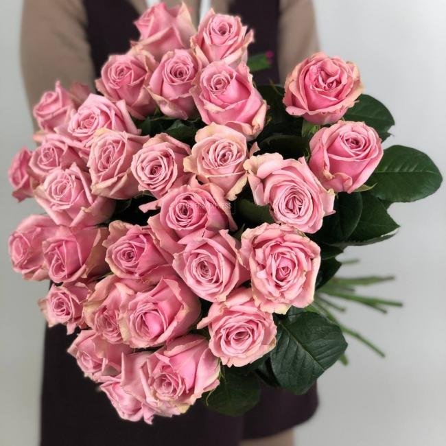 Роза сорта &laquo;Анкор&raquo; (Ancor)