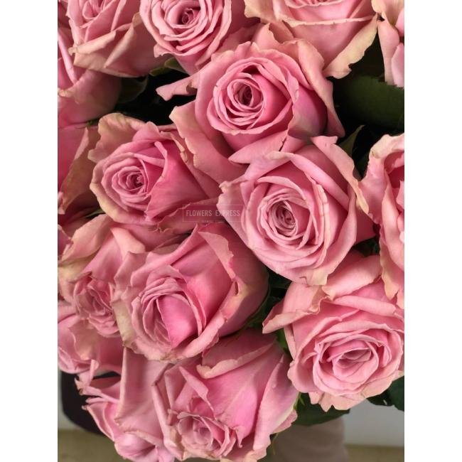 Роза сорта &laquo;Анкор&raquo; (Ancor)