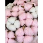 Композиция из сухоцветов &laquo;Романс&raquo;