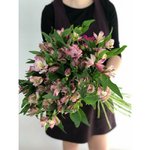 Альстромерия Розовая