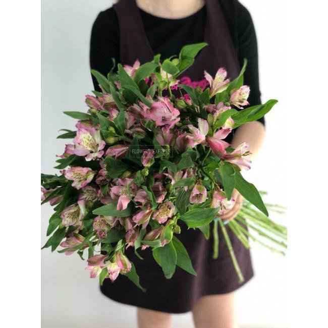 Альстромерия Розовая