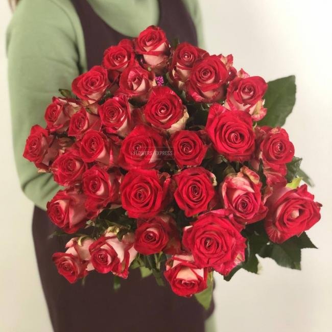 Роза сорта &laquo;БиТвин&raquo; (Bitwin)