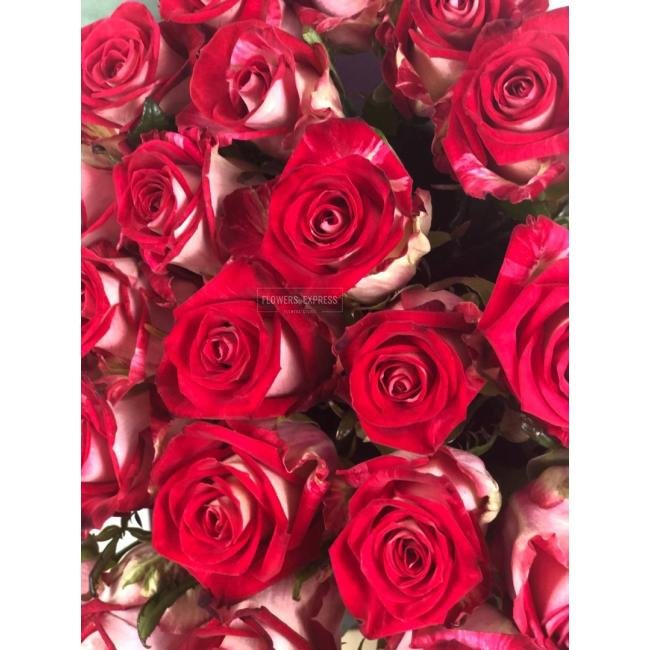 Роза сорта &laquo;БиТвин&raquo; (Bitwin)