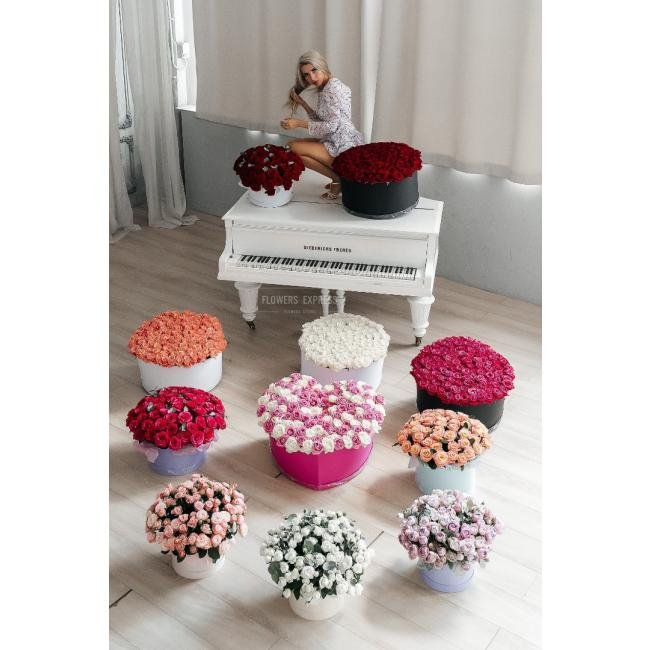 Комната цветов &laquo;Вместо тысячи слов&raquo; (11 композиций)