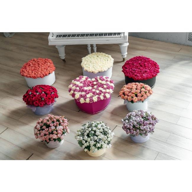 Комната цветов &laquo;Вместо тысячи слов&raquo; (11 композиций)