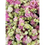 Монобукет из эустом &laquo;Желание&raquo;