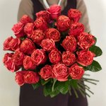 Роза сорта &laquo;Бубль Гум&raquo; (Bubble Gum)