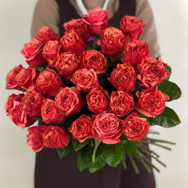 Роза сорта &laquo;Бубль Гум&raquo; (Bubble Gum)