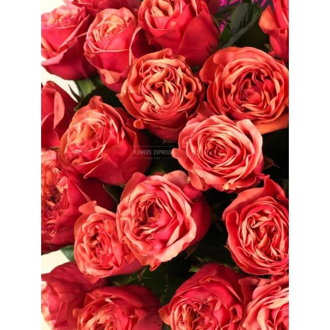 Роза сорта &laquo;Бубль Гум&raquo; (Bubble Gum)