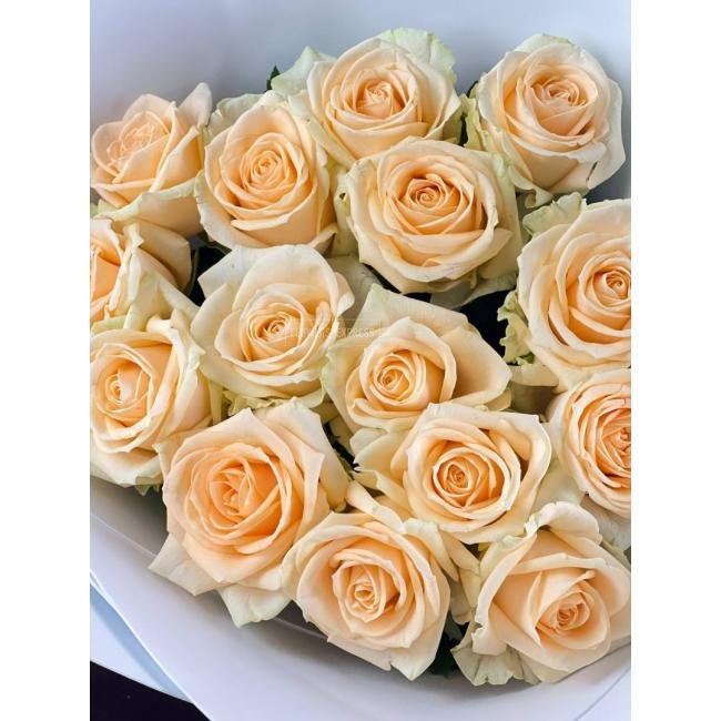 15 Кремовых роз