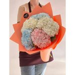 5 Гортензий микс