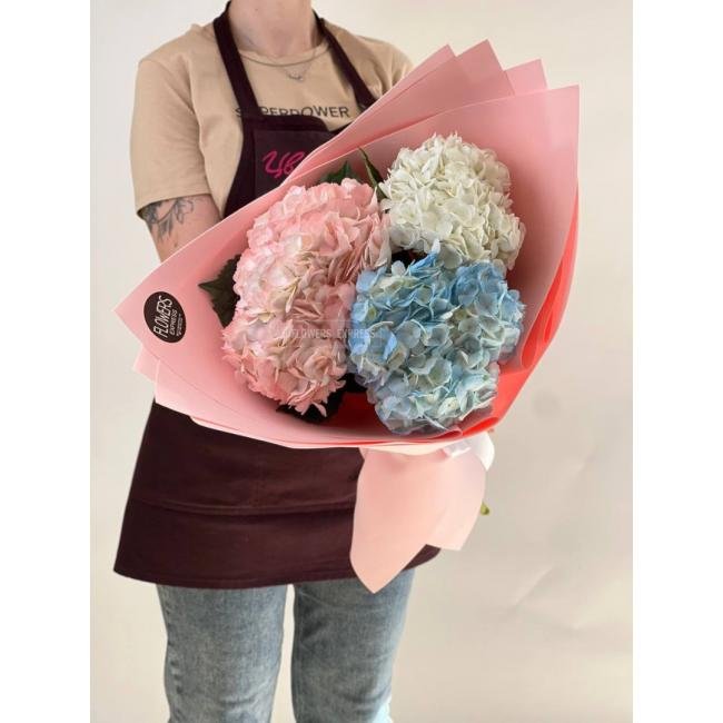 3 Гортензии микс