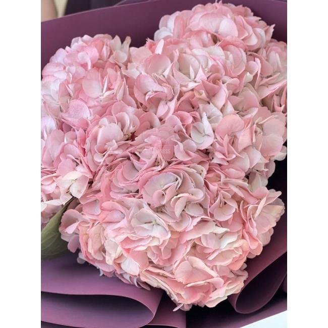 3 Розовых гортензии