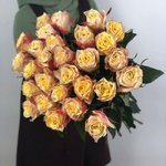 Роза сорта &laquo;999&raquo;