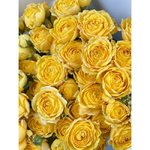 Букет из кустовых роз &laquo;Солнце&raquo;