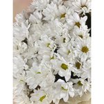 Букет из хризантем &laquo;Лето&raquo;