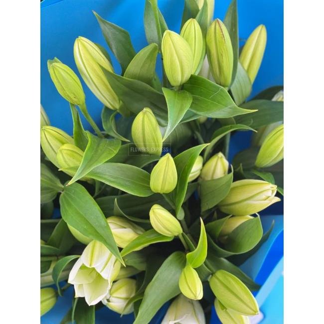 Букет из лилий &laquo;Сливки&raquo;