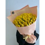 101 Жёлтый тюльпан