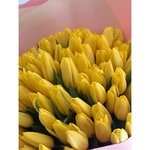 101 Жёлтый тюльпан