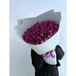 101 Фиолетовый тюльпан