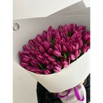 101 Фиолетовый тюльпан