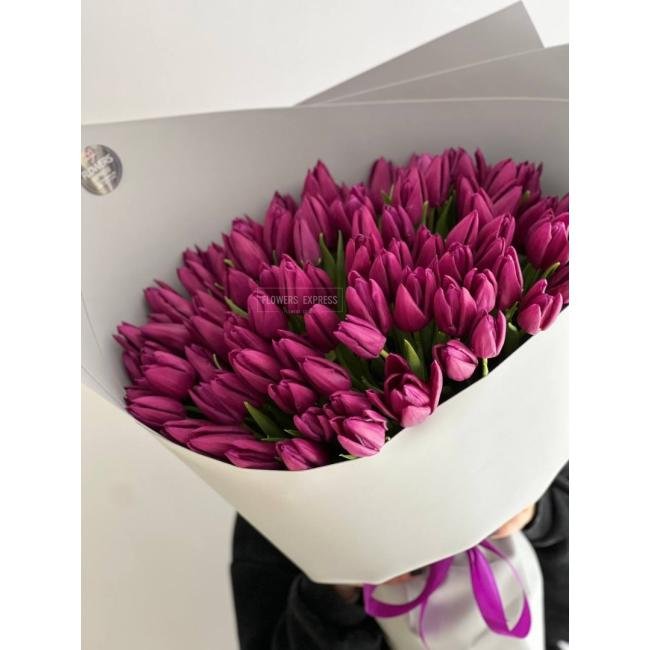 101 Фиолетовый тюльпан