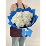 5 Белых гортензий