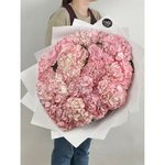 15 Розовых гортензий