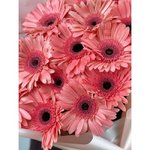 15 Розовых гербер