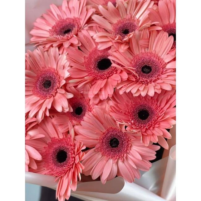 15 Розовых гербер