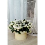 Цветочная коробка &laquo;Блеск&raquo;