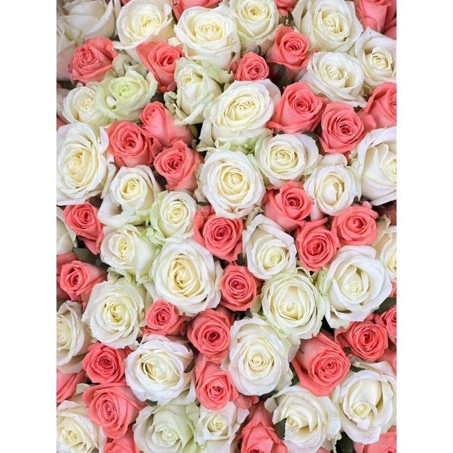 Розово-белый микс из 101 розы