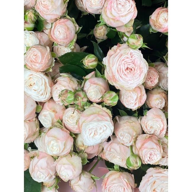 Букет из кустовых роз &laquo;Кружево&raquo;