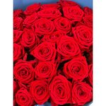35 Красных роз