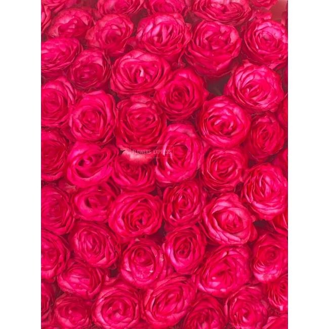 101 Малиновая роза