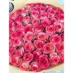 51 Розовая роза